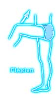 Flexion